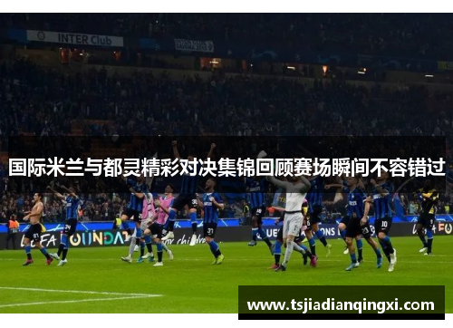 国际米兰与都灵精彩对决集锦回顾赛场瞬间不容错过